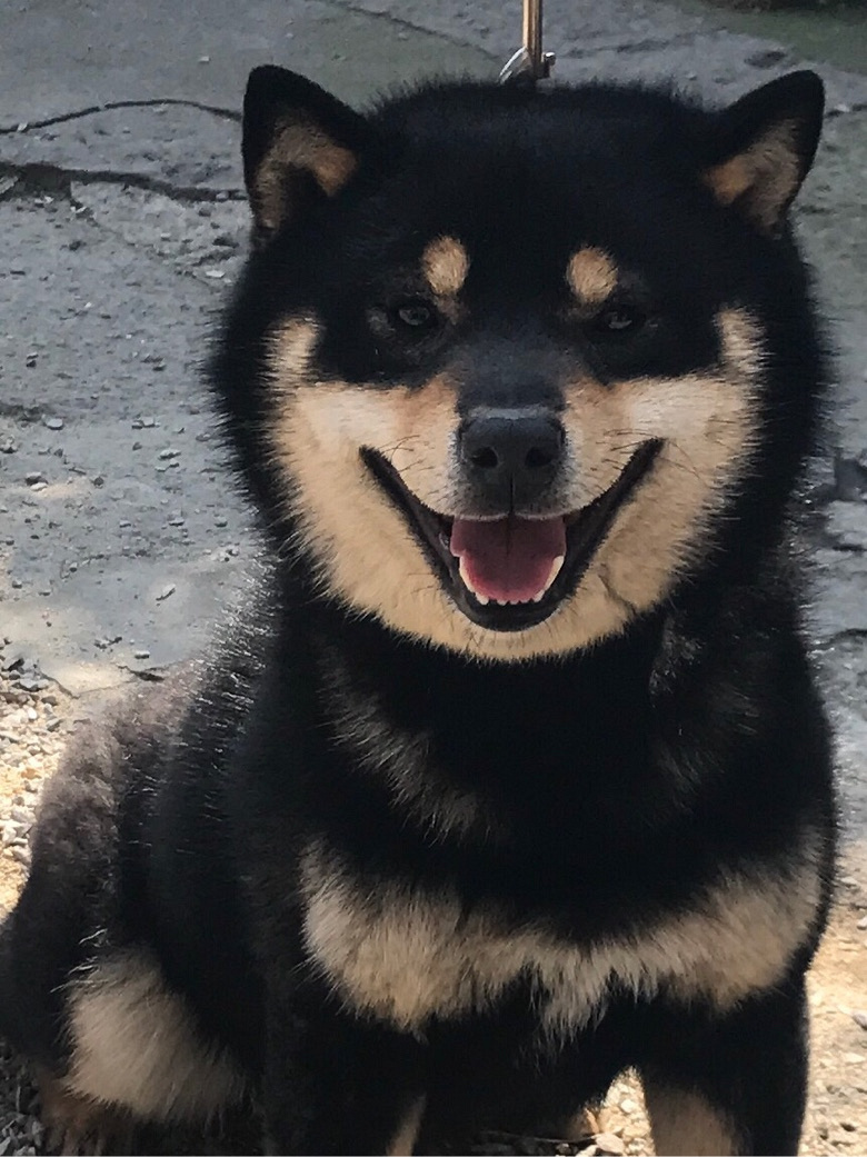 ����ׯ��ȮȮ�᳣����۾�Ʒ��Ȯ