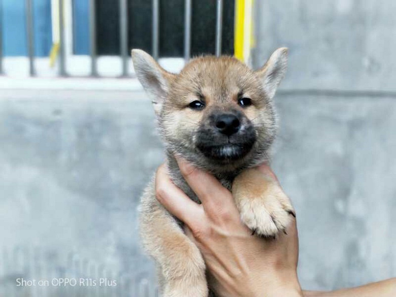 ����ׯ��ȮȮ�᳣����۾�Ʒ��Ȯ