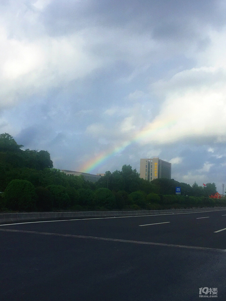 哪里有彩虹告诉我