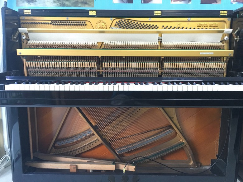 ����ȫ�����������а�Ǩ��YAMAHA���ָ���