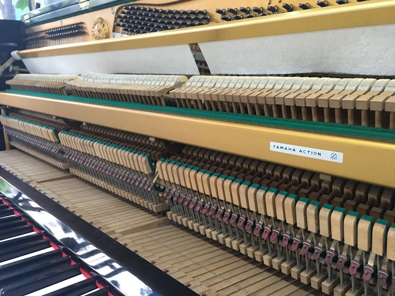 ����ȫ�����������а�Ǩ��YAMAHA���ָ���