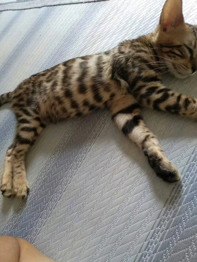 ��è���ͼۻ�ӭ��ѯ~