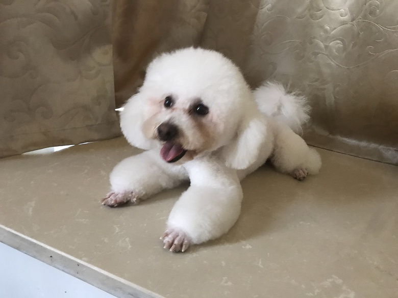 ��ľ�������ܵ�����ѽ��