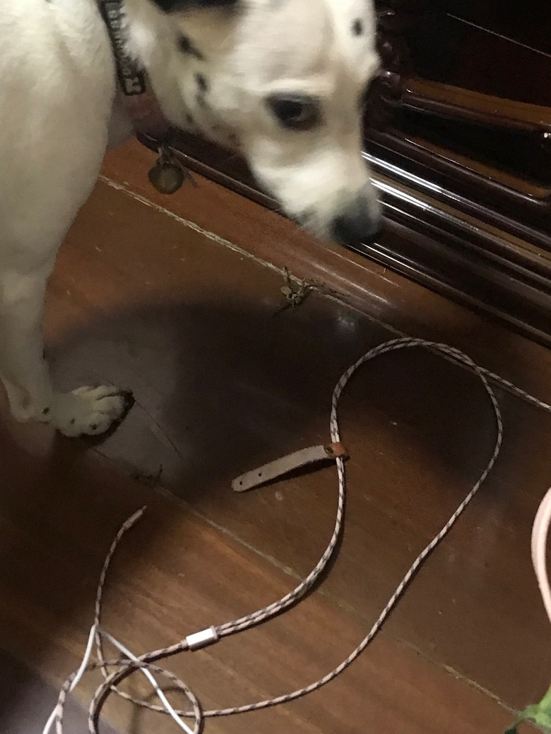 ���Ӵ�ս�䷹��