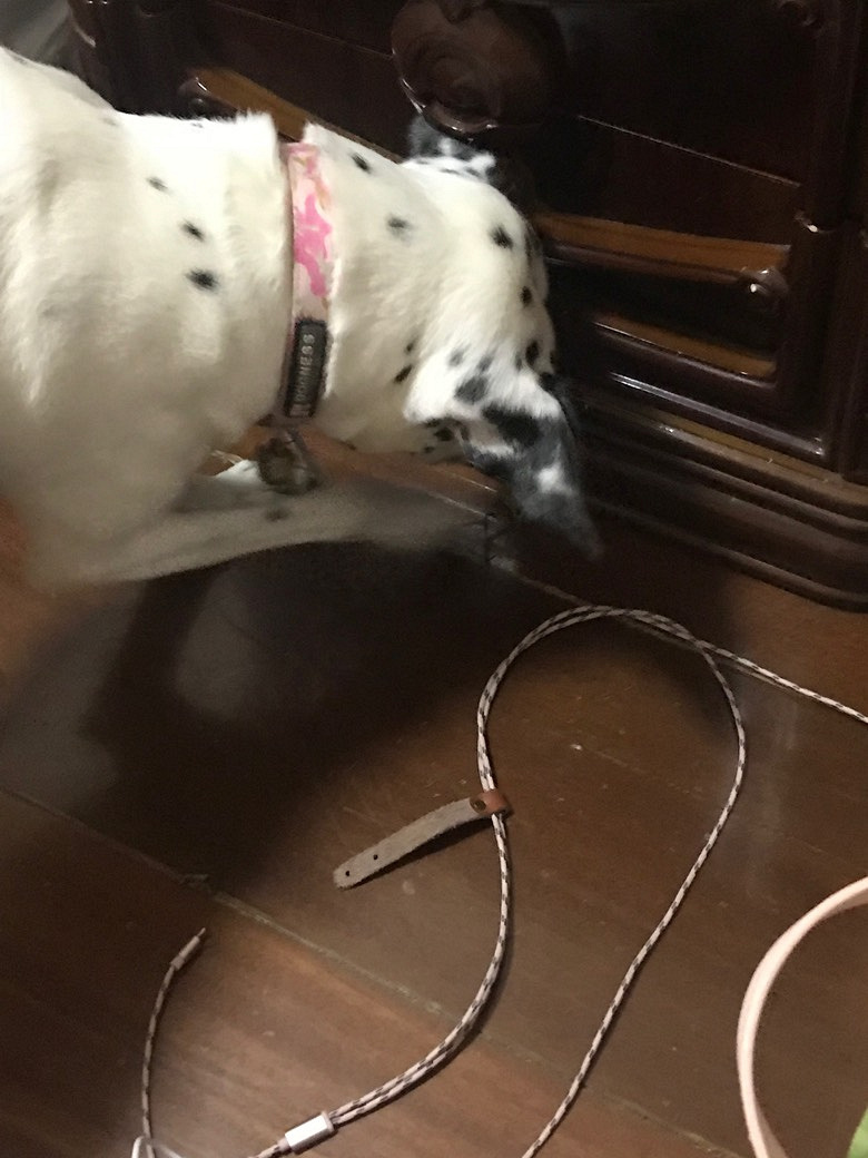 ���Ӵ�ս�䷹��