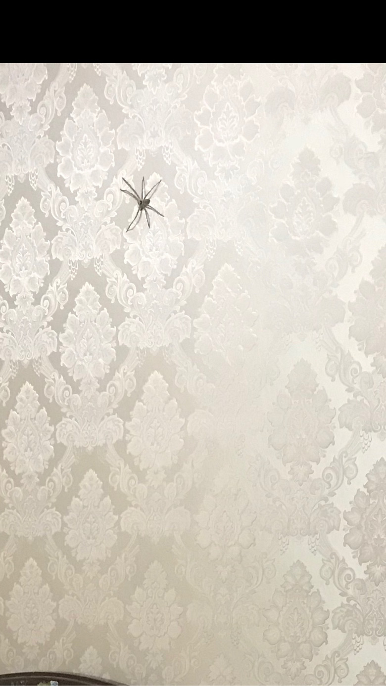 ���Ӵ�ս�䷹��