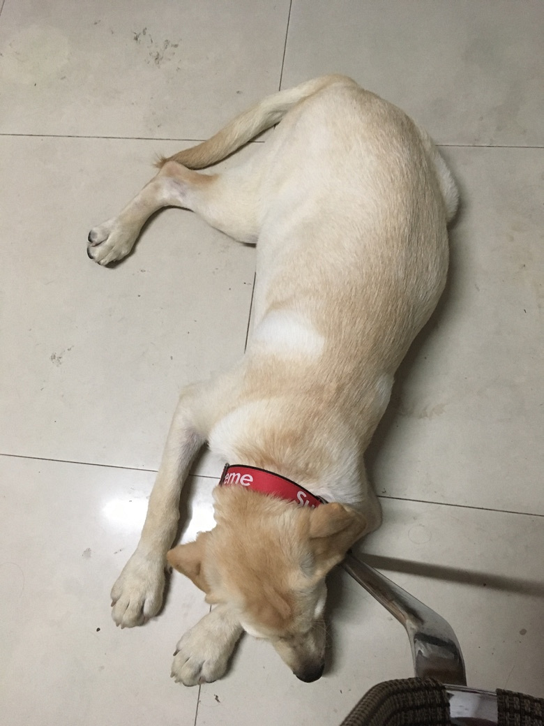 ����6�´��ĸ��������