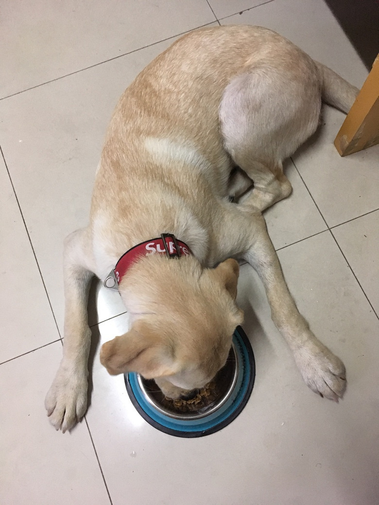 ����6�´��ĸ��������