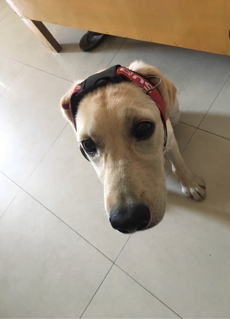 ����6�´��ĸ��������
