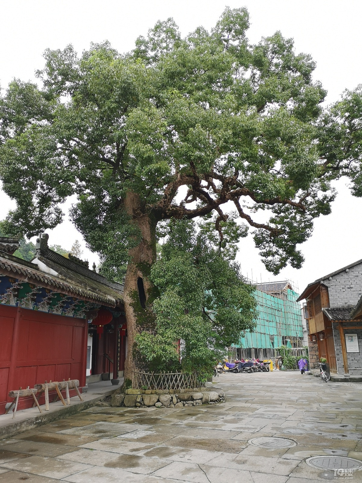 雨后的黄岩柔川景区