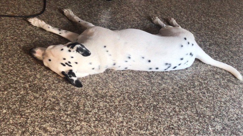 �������ڻ���ʯ�������