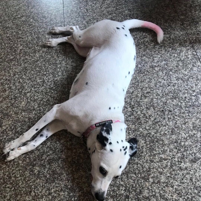 �������ڻ���ʯ�������