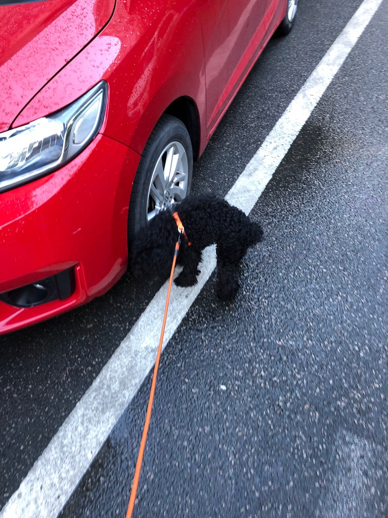 ̩�ϳ��ﹷ�޳��������ֺ�̩��