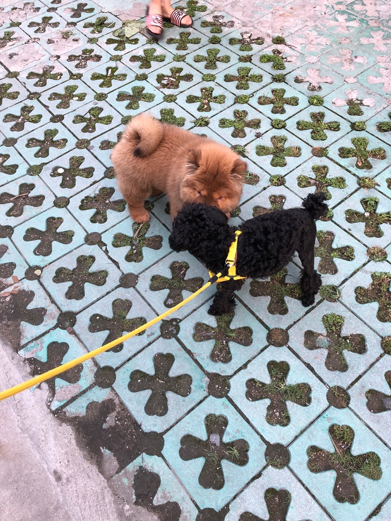 ̩�ϳ��ﹷ�޳��������ֺ�̩��