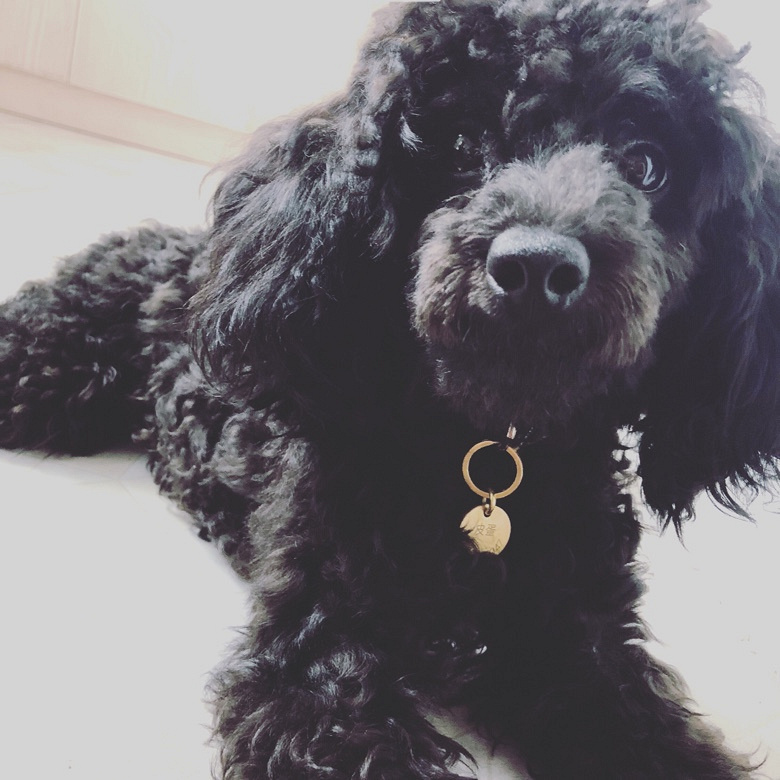 ̩�ϳ��ﹷ�޳��������ֺ�̩��