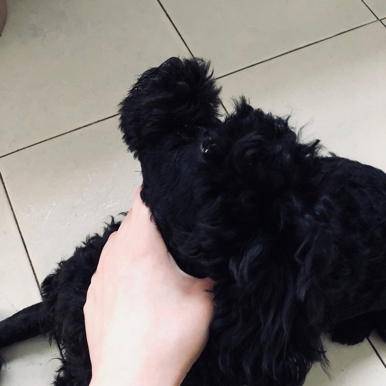 ̩�ϳ��ﹷ�޳��������ֺ�̩��