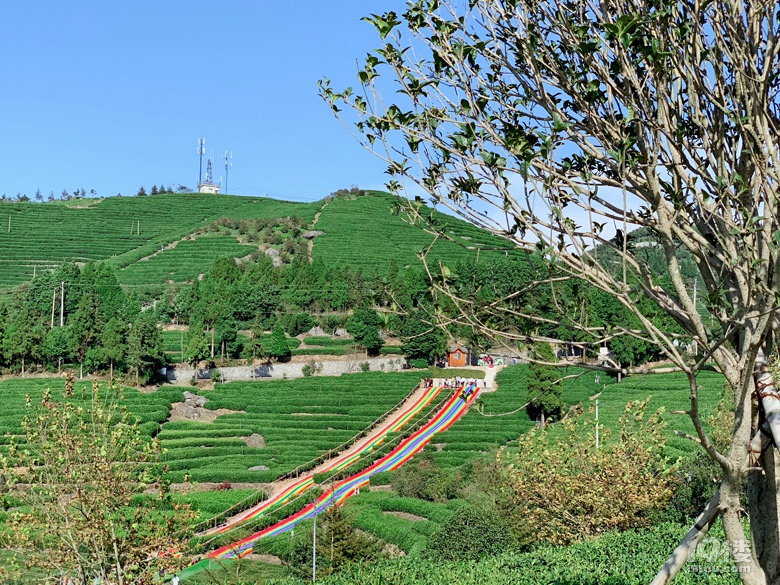 旅游日记no27羊岩山游记