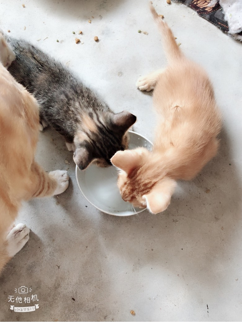 Сè����ͣ�������13362653697