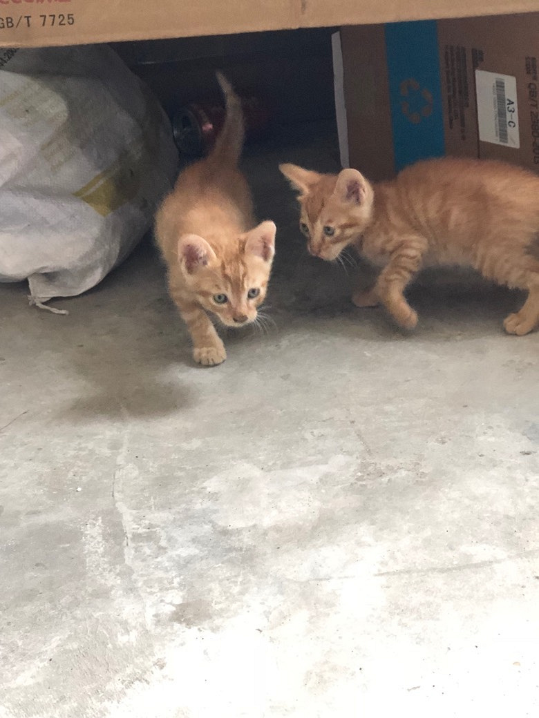 Сè����ͣ�������13362653697