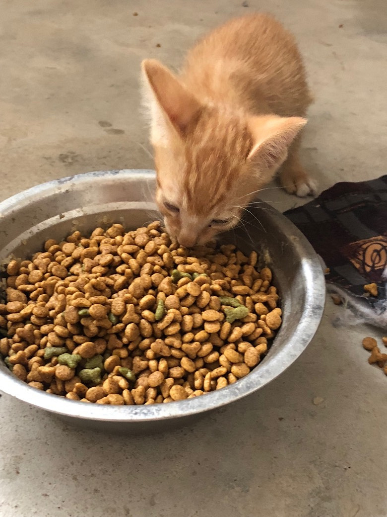 Сè����ͣ�������13362653697