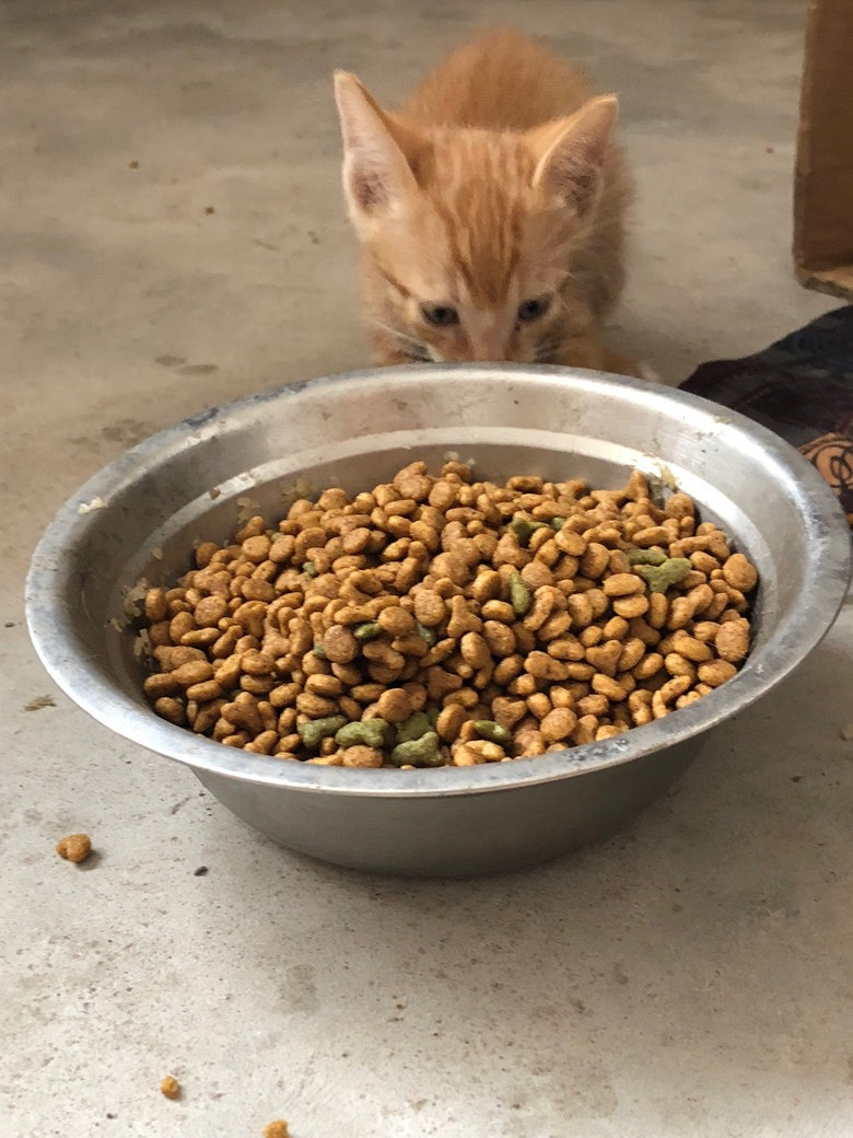 Сè����ͣ�������13362653697