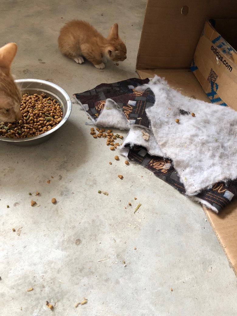 Сè����ͣ�������13362653697