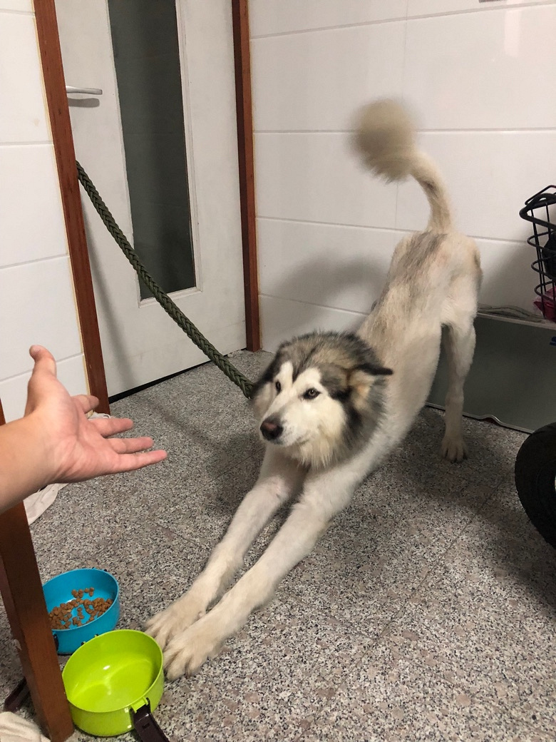 Ϊ��ʧ�İ���˹��Ѱ������