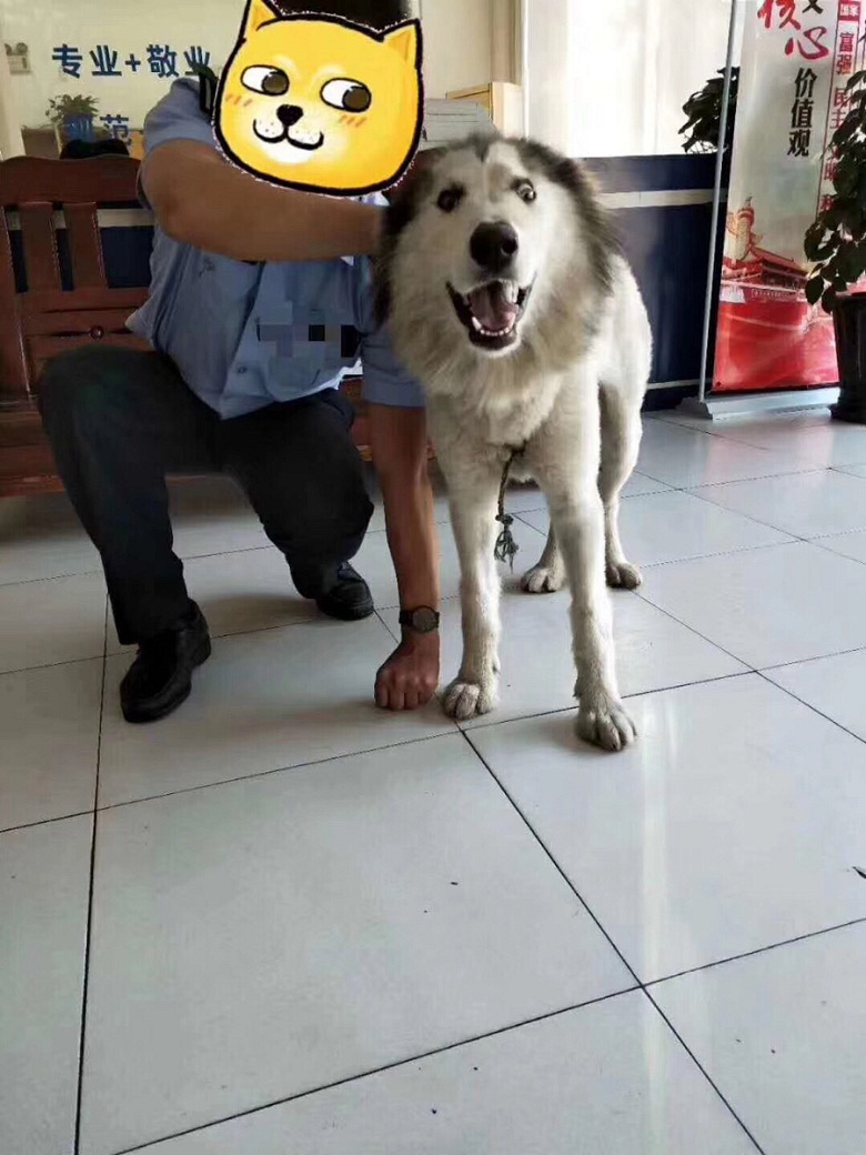 Ϊ��ʧ�İ���˹��Ѱ������