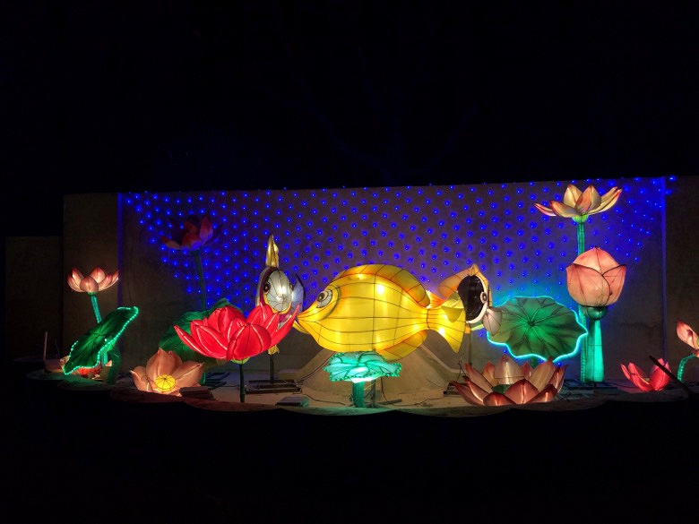 ���Ҹ��������������ĵƹ��