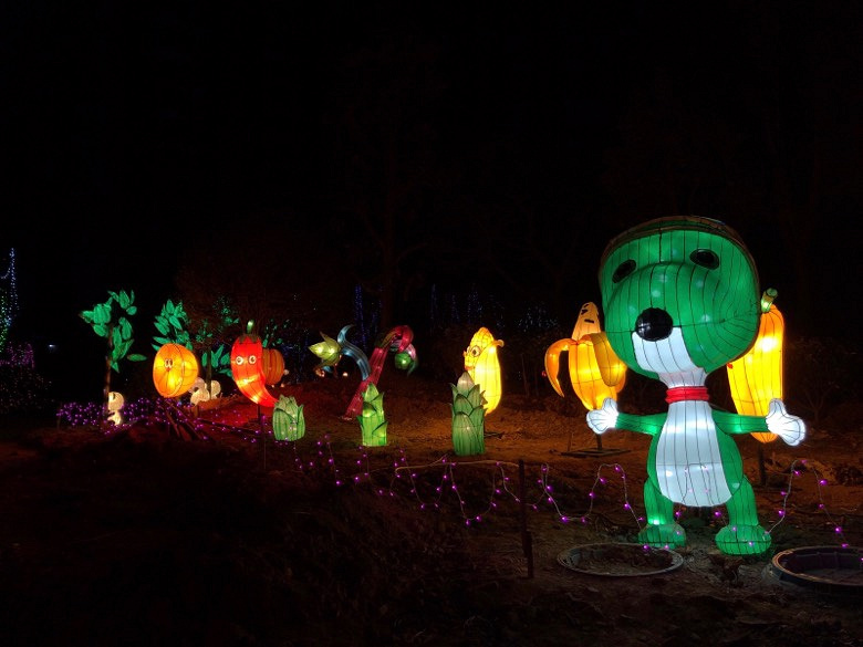 ���Ҹ��������������ĵƹ��