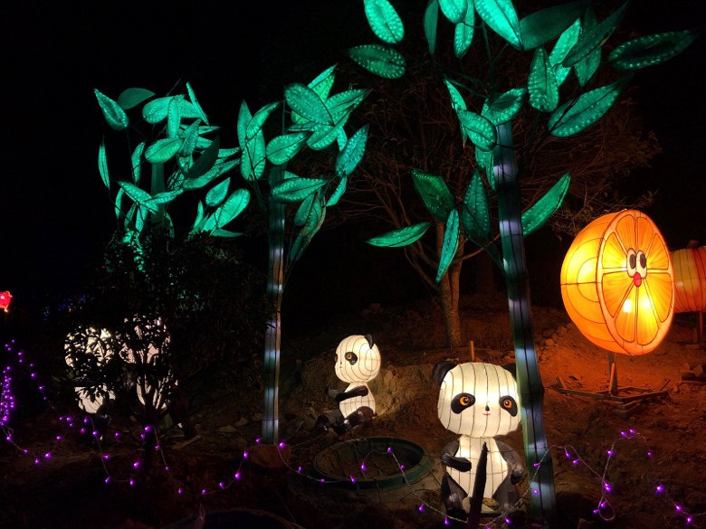 ���Ҹ��������������ĵƹ��