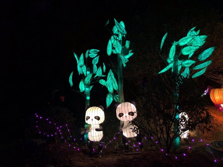 ���Ҹ��������������ĵƹ��