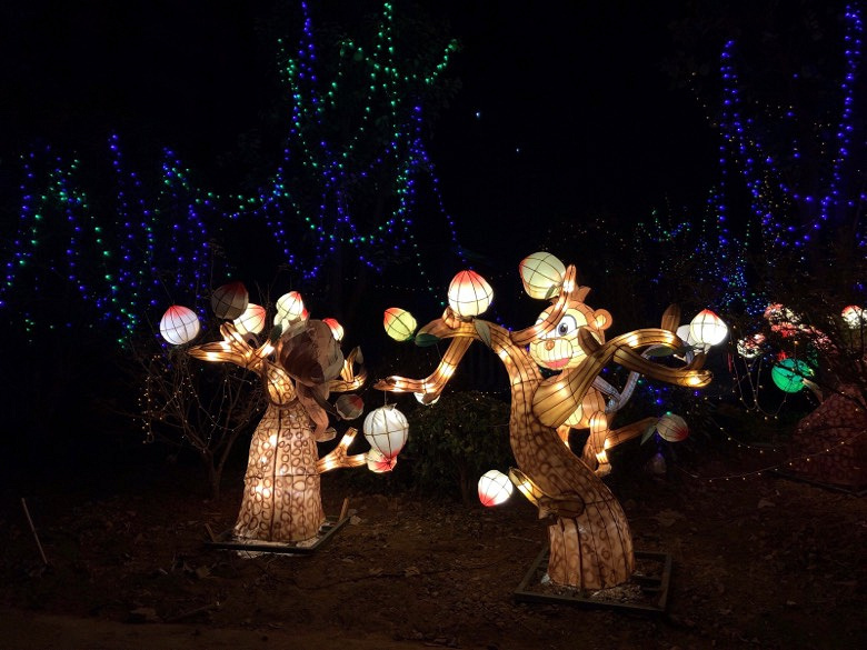 ���Ҹ��������������ĵƹ��