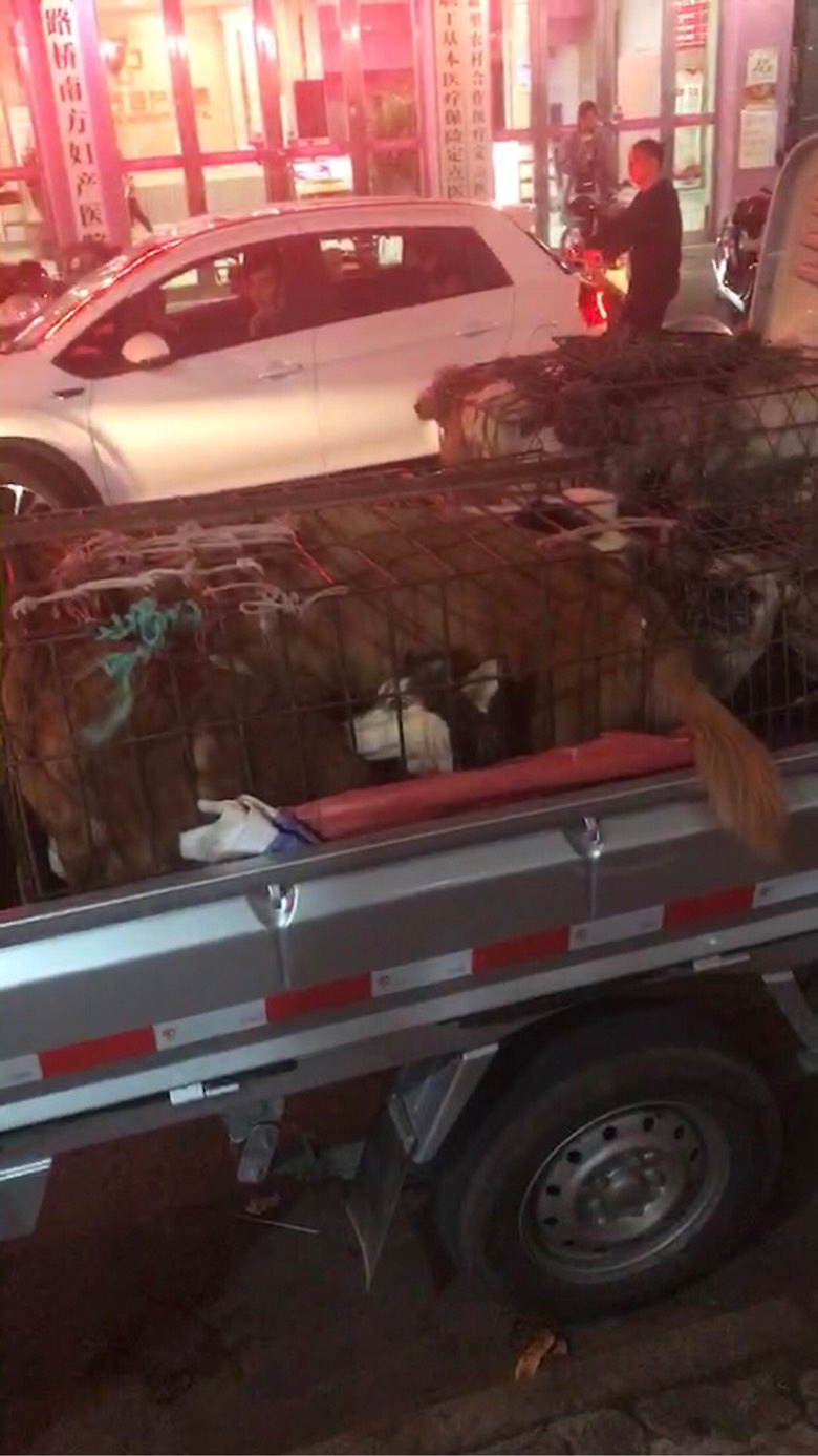 �߶��Ĺ���ȥ�����ˣ�����ת������