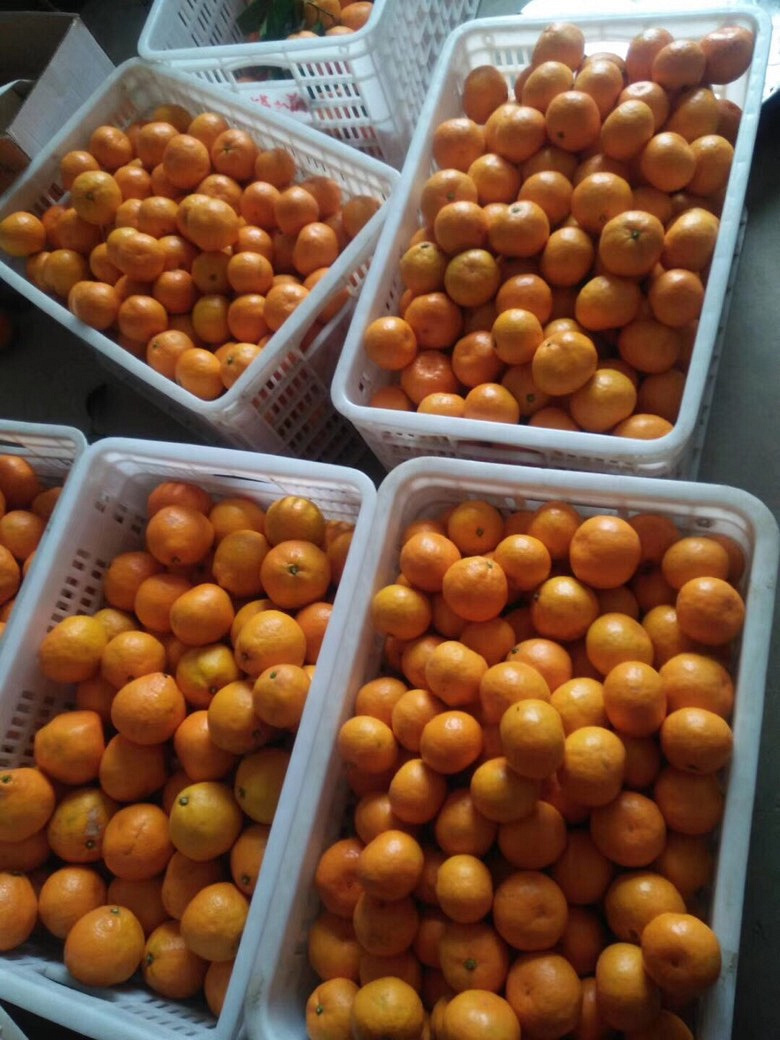 �����Լ�ӿȪ��ɽ�۽ۼ۸�ʵ��