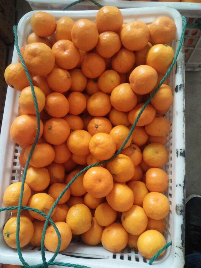 �����Լ�ӿȪ��ɽ�۽ۼ۸�ʵ��