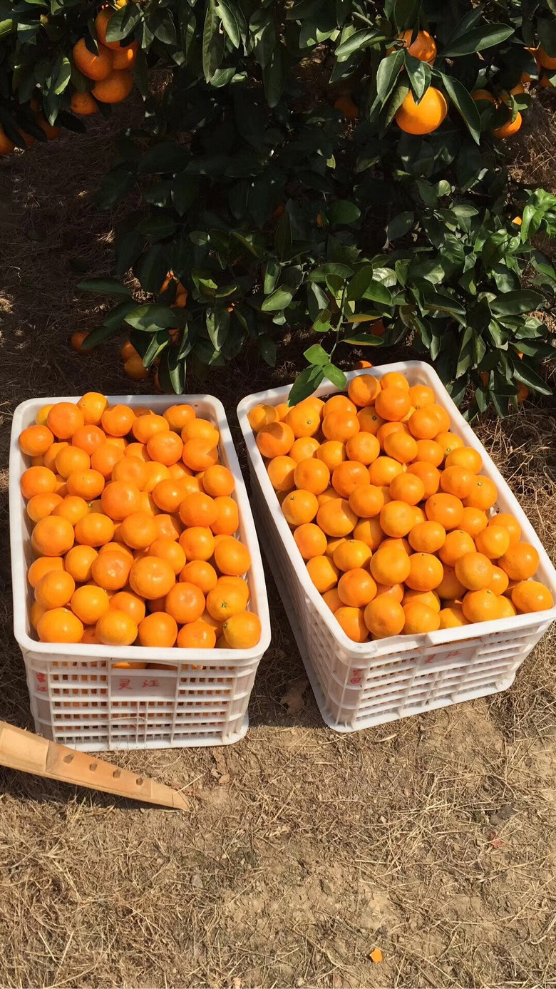 �����Լ�ӿȪ��ɽ�۽ۼ۸�ʵ��