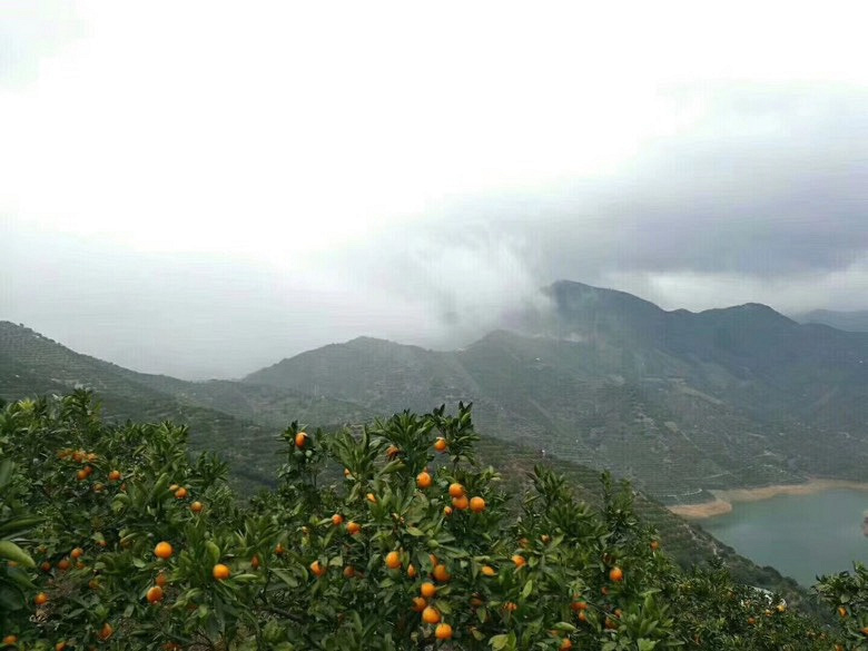 �����Լ�ӿȪ��ɽ�۽ۼ۸�ʵ��