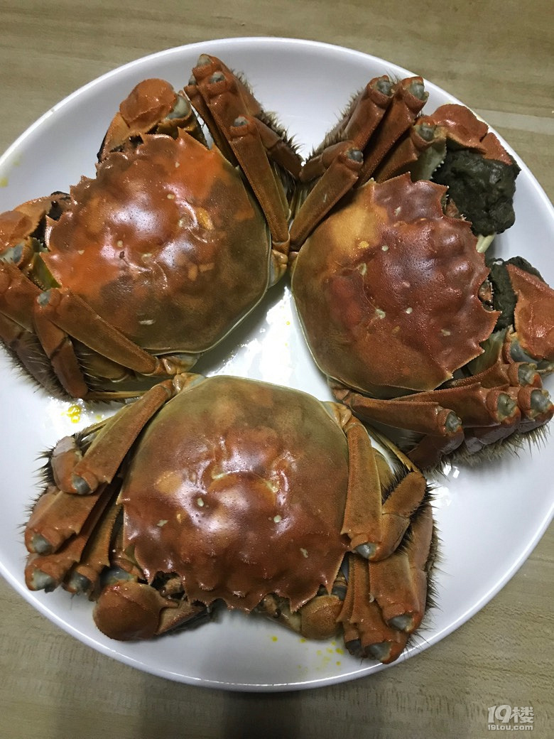 广东最好吃的美味