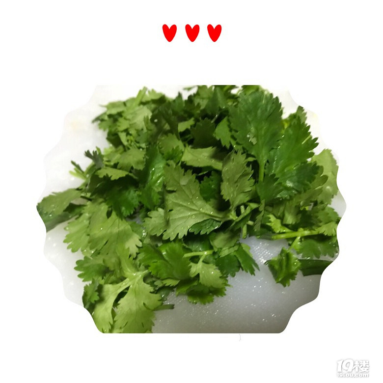 广东最好吃的美味