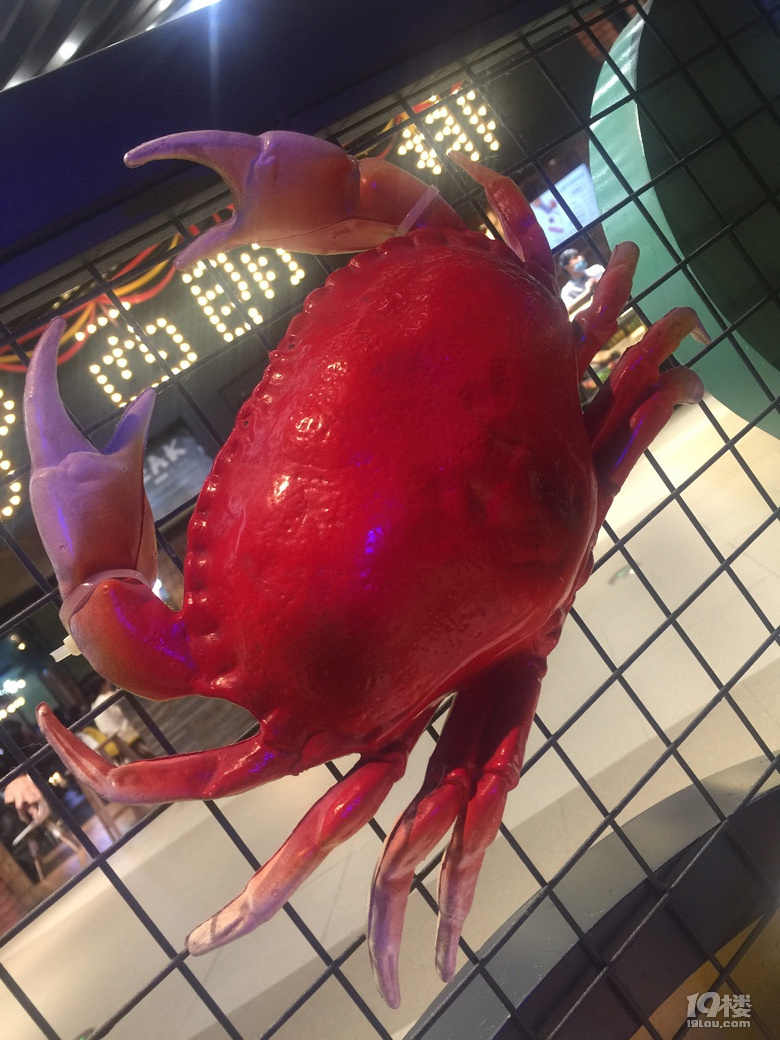 本来想吃海底捞,排号排到200号,那就换吃牛蛙