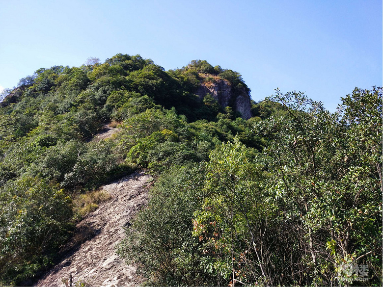 初冬的週末在石佛寺談禪