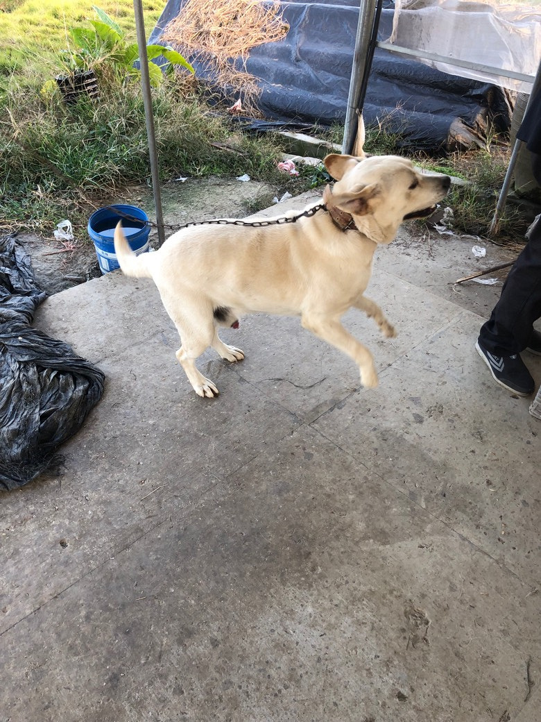 ��������Ȯ