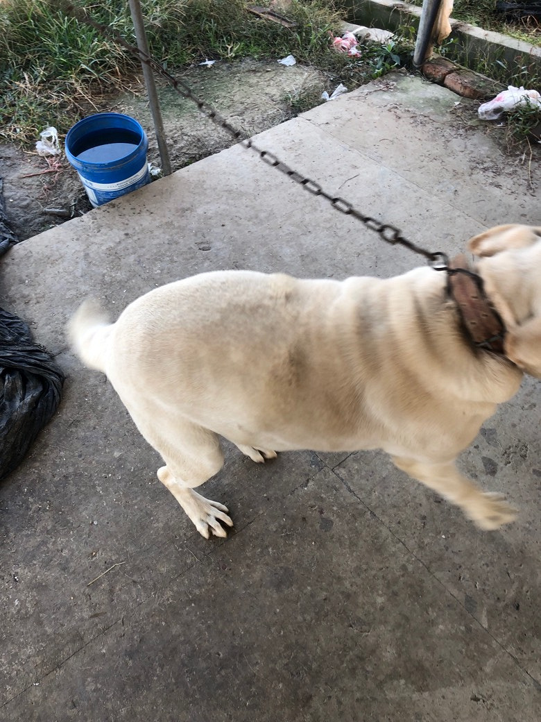 ��������Ȯ