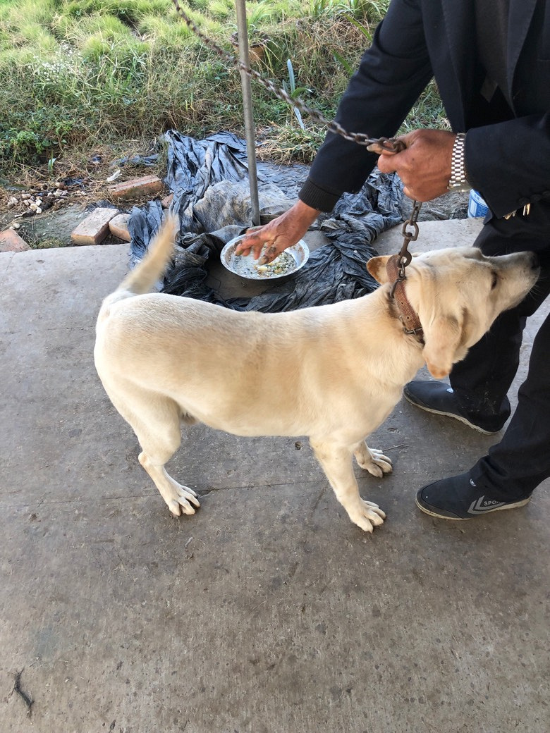 ��������Ȯ