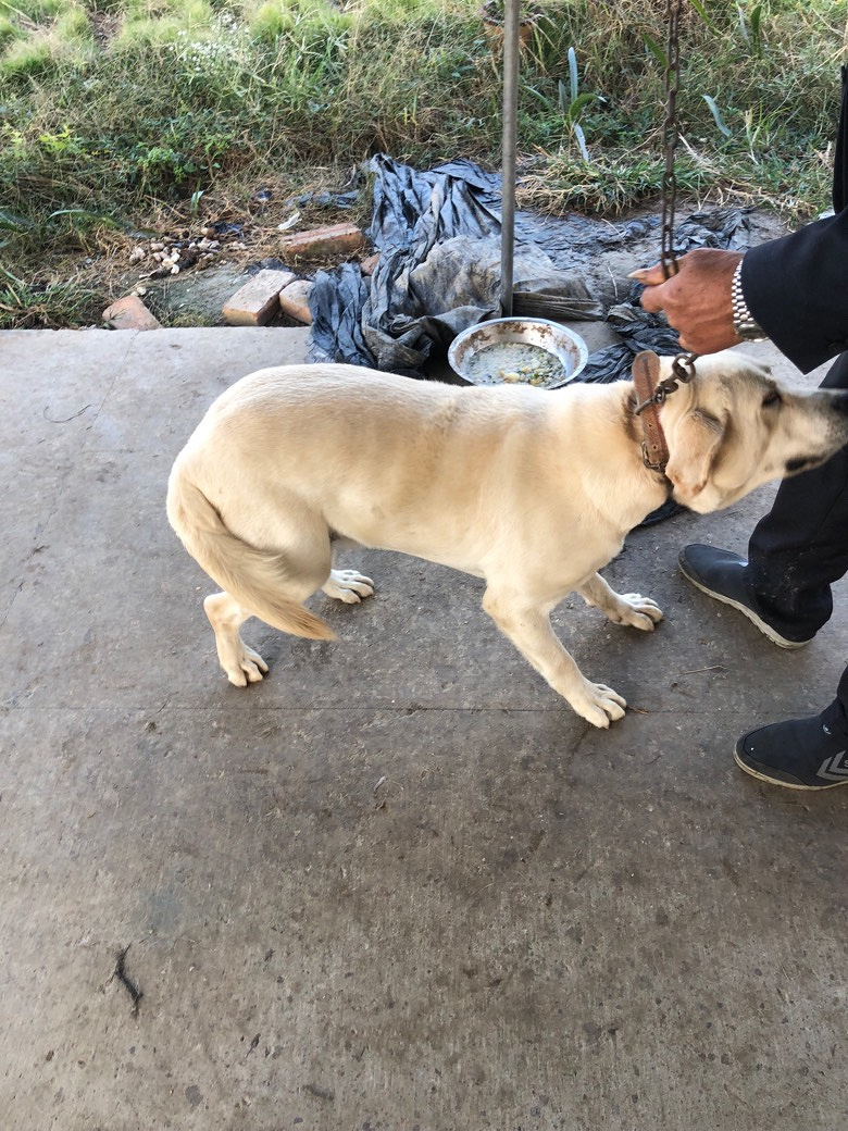 ��������Ȯ