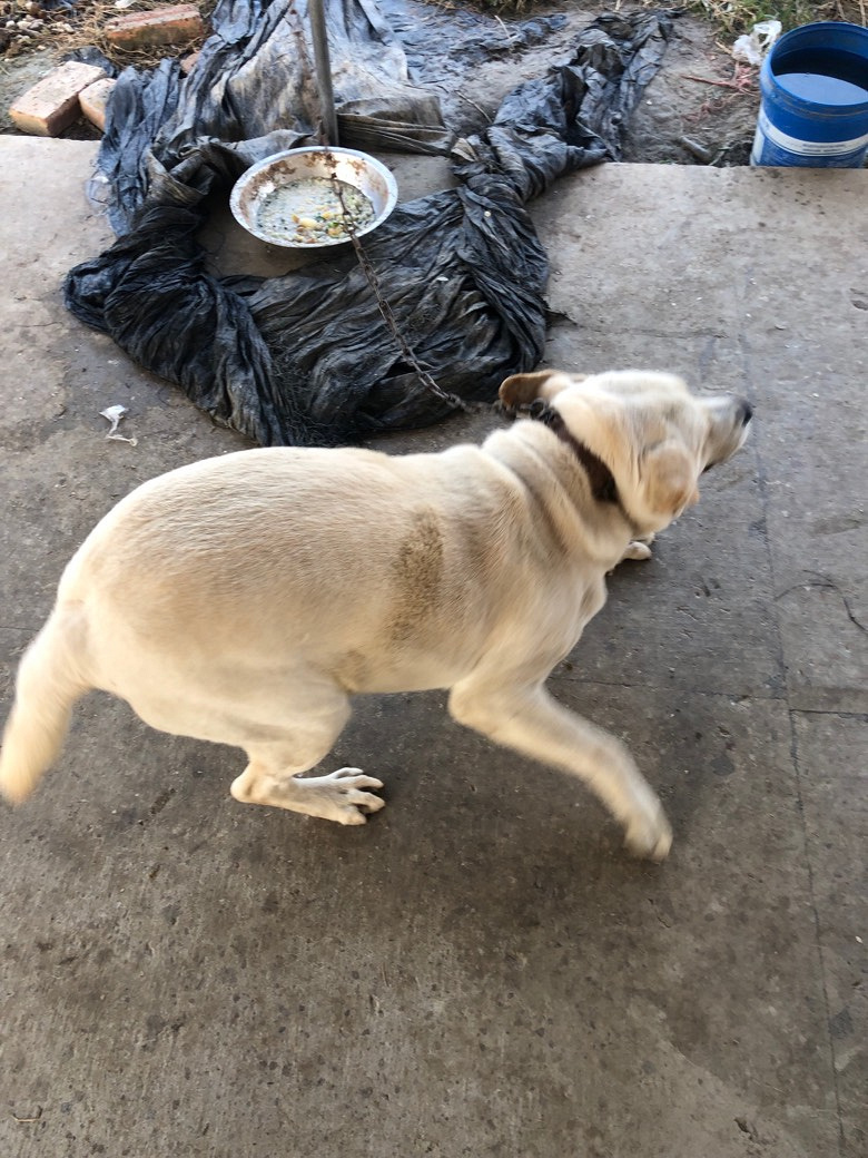 ��������Ȯ