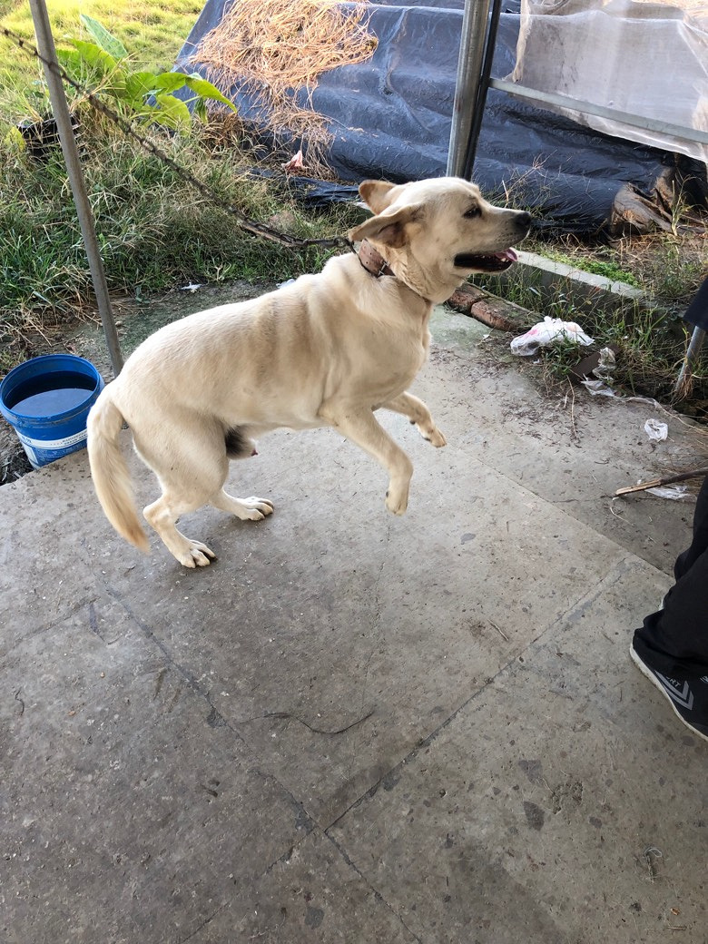 ��������Ȯ