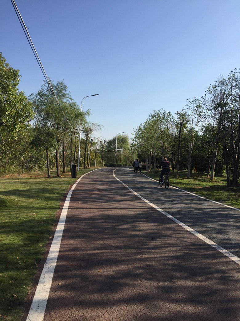 ���������˶�