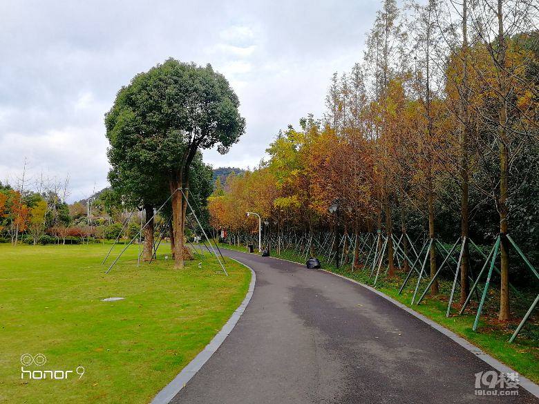 [隨手拍]風雨後的中央山公園-講白搭-台州19樓